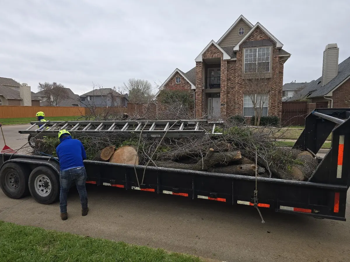 Expert Lot Clearing with proper safety equipment in Parker